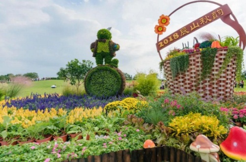 秋季植物有哪些,盘点10种秋季种植的植物